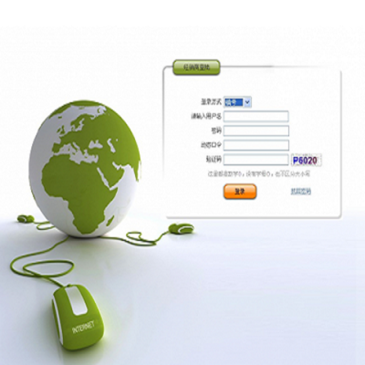 百事隆软件 专业直销软件开发定制服务，助力企业数字化转型